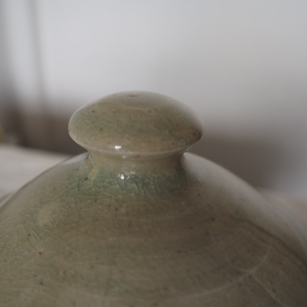 まゆみ窯 眞弓亮司 蓋物 透明二彩(中)