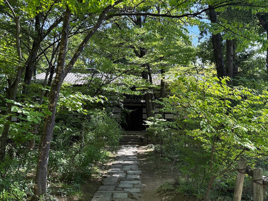 夏の思い出　松本民芸館