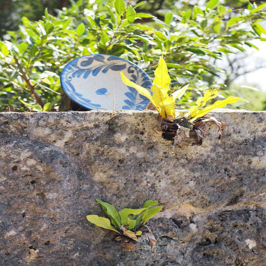 隠れた仕事　先人の知恵